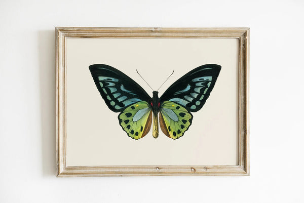 Skab en let og naturlig atmosfære i dit hjem med vores Butterfly Plakat