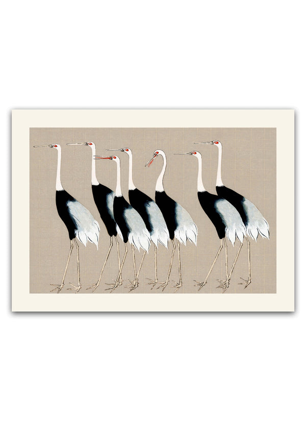 Syv Storke Grå Plakat
