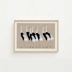 Syv Storke Grå Plakat