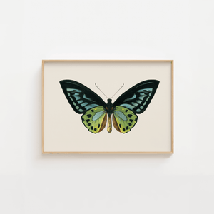 Butterfly Plakat 