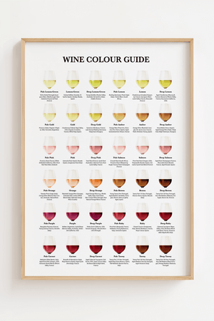 Wine Colour Guide Plakat
