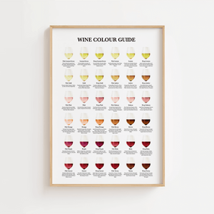 Wine Colour Guide Plakat