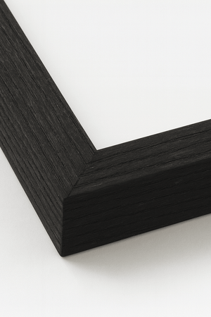 Sort træramme med mat finish og plexiglas – elegant billedramme til plakater, billeder og fotos, perfekt til både farverige og minimalistiske motiver.