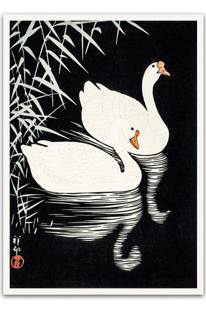 Vælg et minimalistisk og stilfuldt udtryk med vores Black and White Swans Plakat.