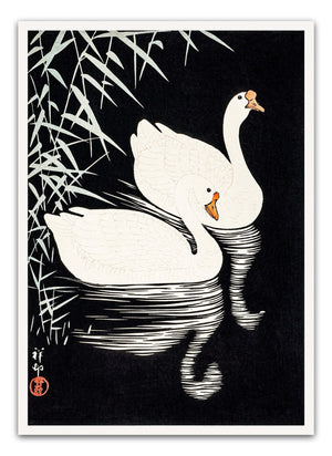 Vælg et minimalistisk og stilfuldt udtryk med vores Black and White Swans Plakat.