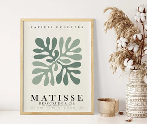 Wild Curves Ellens Shop