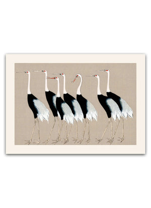 Syv Storke Grå Plakat