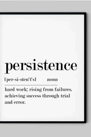 Persistence Definition Ellens Shop