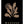 Galerie Matisse plakaten hylder den verdensberømte kunstner Henri Matisse med et design, 