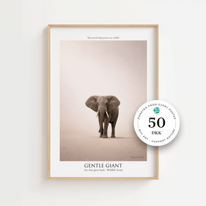 Gentle Giant - Wildlife Series