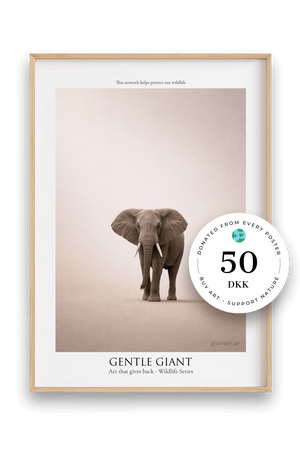 Gentle Giant - Wildlife Series