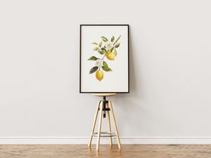 Botanisk Citron Plakat