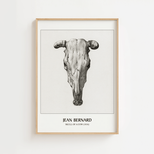 Ko kranie plakat Skull of a Cow 1816 i sort og hvid med detaljeret tegning