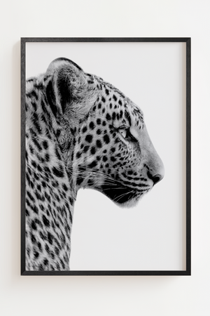 Sort hvid leopard plakat med elegant leopard i profil på lys baggrund
