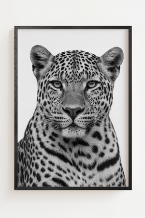 Sort-hvid leopard plakat med detaljeret portræt og intenst blik.