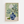Illustrationsplakat med blå-hvid porcelænsvase, hvide blomster og grønne blade samt to pærer på en lys grøn baggrund med botaniske linjer.