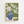 Illustrationsplakat med hvid blomst i dekorativ blå porcelænsvase på grøn baggrund med botaniske blade.