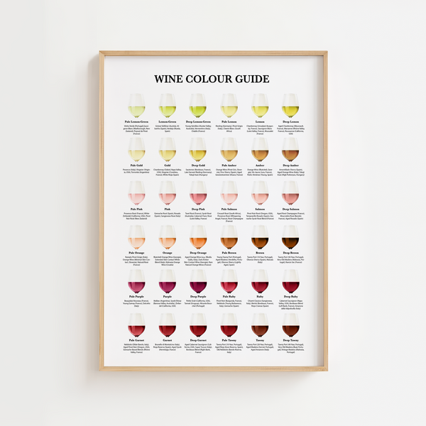 Wine Colour Guide Plakat