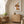 Hund med Festhat plakat i lyserød ramme ved skrivebord i børneværelse
