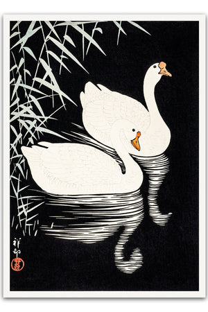 Vælg et minimalistisk og stilfuldt udtryk med vores Black and White Swans Plakat.