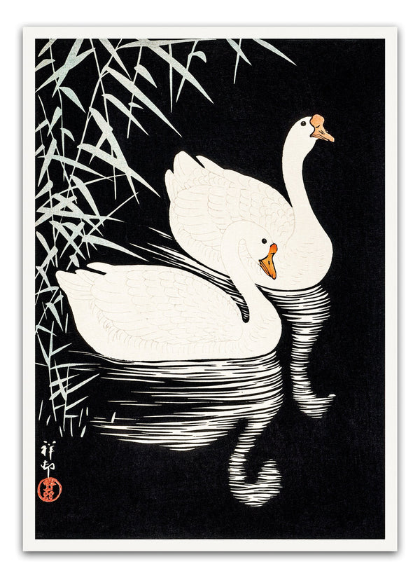 Vælg et minimalistisk og stilfuldt udtryk med vores Black and White Swans Plakat.