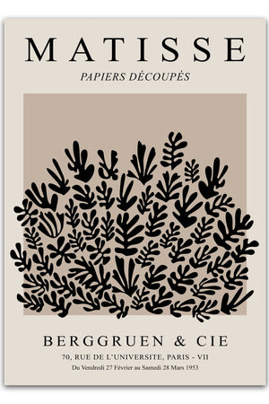 Matisse plakat