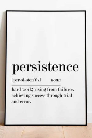 Persistence Definition Ellens Shop