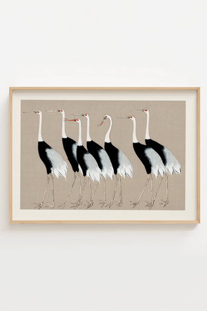 Syv Storke Grå Plakat