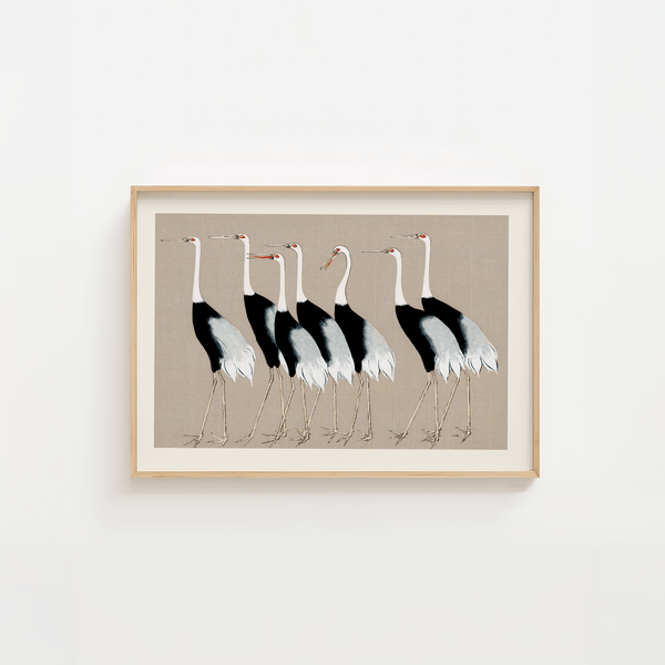 Syv Storke Grå Plakat