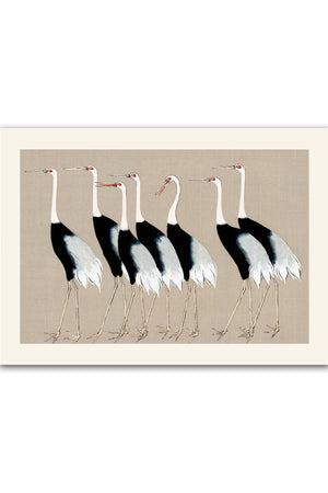Syv Storke Grå Plakat